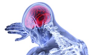 Internet Neurologie